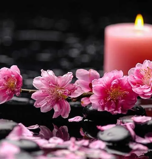 Des fleurs de cerisier roses et une bougie allumée sur des galets noirs