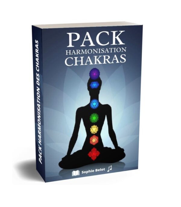 HARMONISATION  DES CHAKRAS